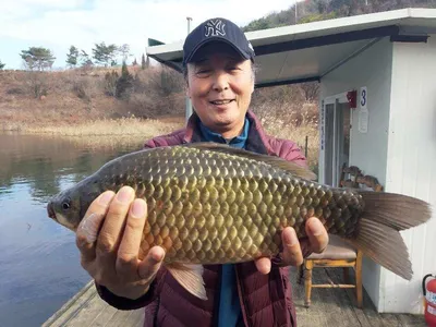 돌감낚시터 40.5cm