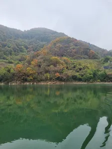 사오리 낚시터 조황정보