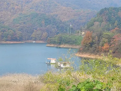 청풍실리곡낚시터  조황입니다.