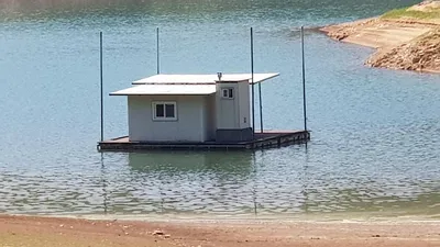 한버들 허릿급 조황입니다