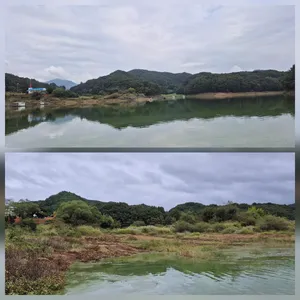 청풍신리낚시터 조황입니다