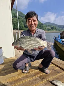 사오리낚시터 조황정보