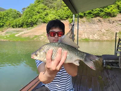 돌감낚시터 붕어조황입니다.