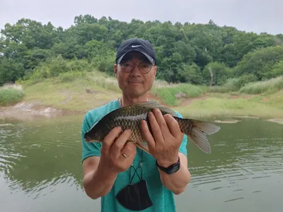 돌감낚시터 붕어조황입니다.