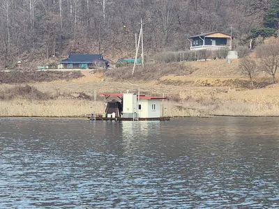 청풍 한버들 조황입니다
