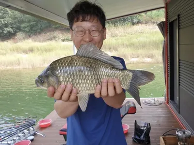 솔낚시터의 주중 조황소식입니다!