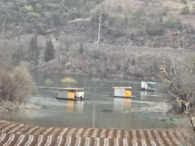 청풍실리곡낚시터 4짜외 허리급 조황입니다.