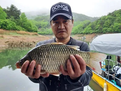 돌감낚시터 조황입니다.