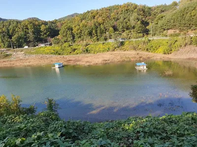 실리곡낚시터 39.38.37cm 조황입니다.