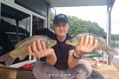 오름수위가 step by step