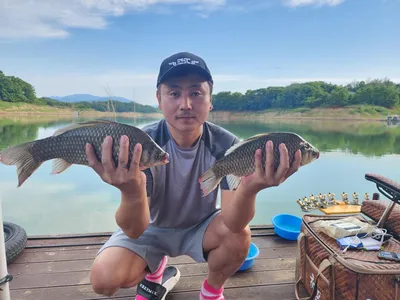 돌감낚시터 붕어조황입니다.