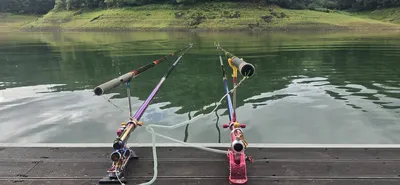 신매낚시터 8월 19일 조황