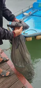 신매낚시터 6월 21일조황 