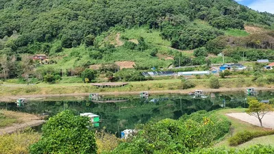 용곡 김기호 낚시터 대물과 허리급 조황입니다