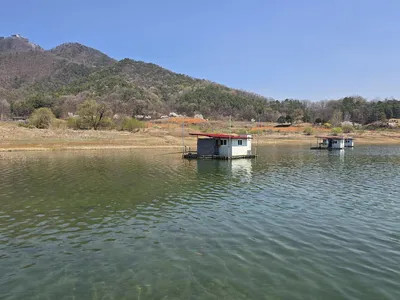 청풍 한버들 호조황입니다