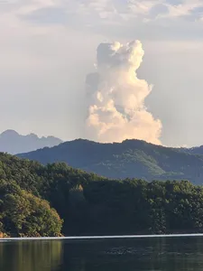 청풍 한버들 허릿급 조황입니다