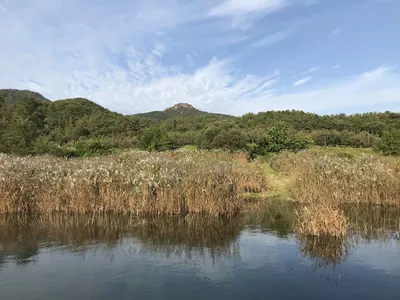 솔낚시터 가을대물 44 소식 전해드립니다.
