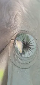 신매낚시터 오름수위