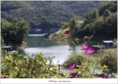 솔낚시터 조황소식 입니다.