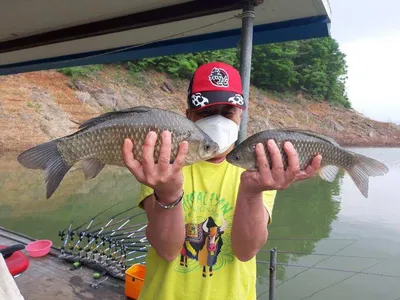 돌감낚시터 조황입니다.