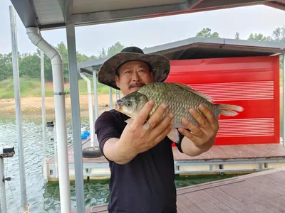 돌감낚시터 붕어조황입니다.