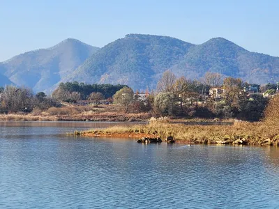 청풍 한버들 허리급및 월척들 호조황입니다