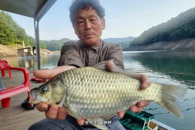 늘푸른 최근 속보 조황입니다