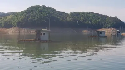 한버들 허릿급 조황입니다