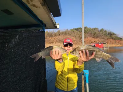 돌감낚시터 붕어조황입니다.