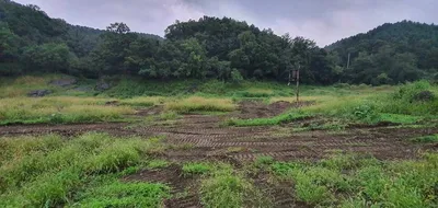 신매낚시터의 이모저모
