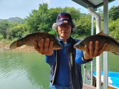 돌감낚시터 붕어조황입니다.