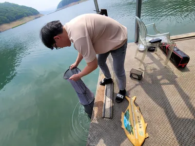 목벌 주말조황소식안내