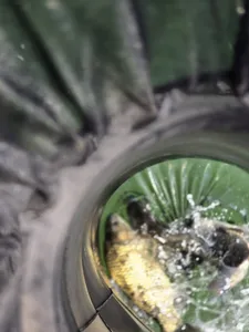 목벌 바람과함께