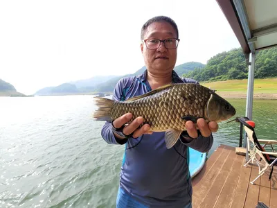 충주호목벌낚시터소식