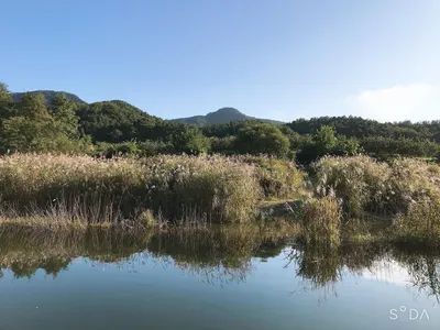 솔낚시터 한가위 조황소식 입니다.