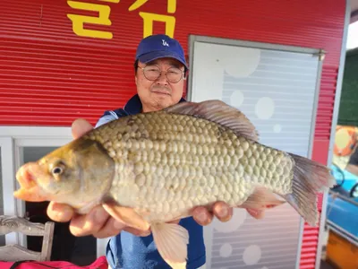 돌감낚시터 붕어조황