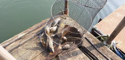 충주호 짱가네낚시터 