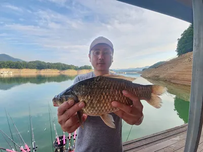 돌감낚시터 붕어조황입니다.