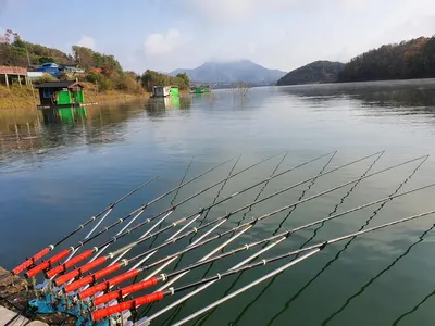 용곡 김기호 낚시터 조황정보 입니다