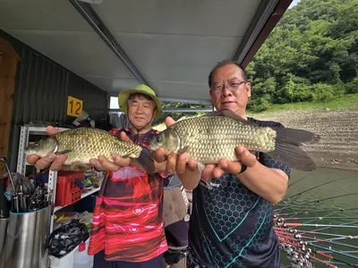 환경에 순응하기
