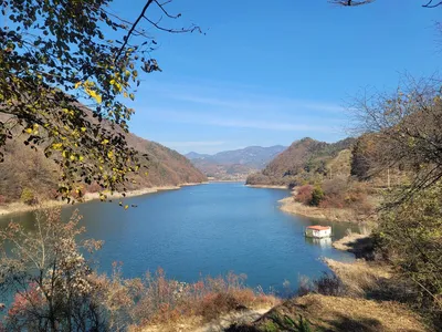 청풍 실리곡낚시터 42cm 조황입니다.