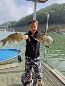 사오리 낚시터 조황정보