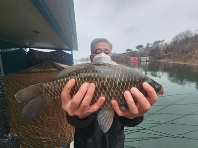 돌감낚시터 2024 첫 4짜(43cm) 조황입니다.