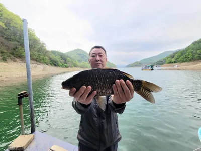 목벌낚시터 개장 및 조황안내