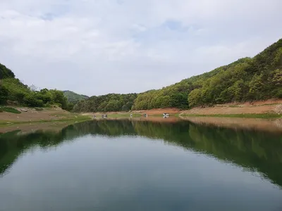 실리곡낚시터 4짜.허리급 5수 조황입니다.