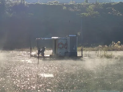 실리곡낚시터  43cm 대물 조황입니다.