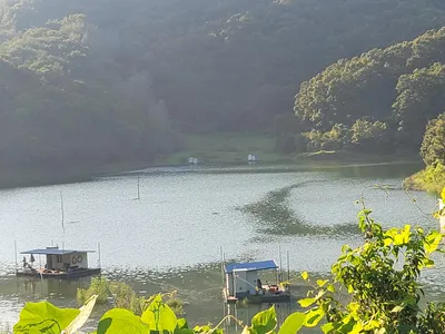 청풍 실리곡낚시터 4짜 조황입니다.