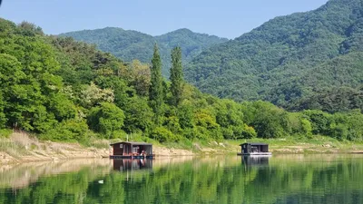솔낚시터 주말조황 소식입니다