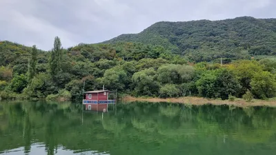 솔낚시터 사짜 및 월척 조황소식입니다.