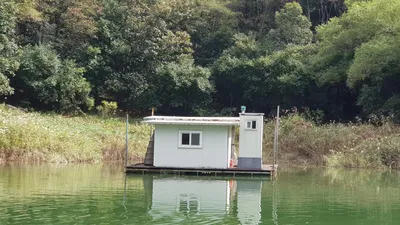 청풍호 한버들 조황입니다